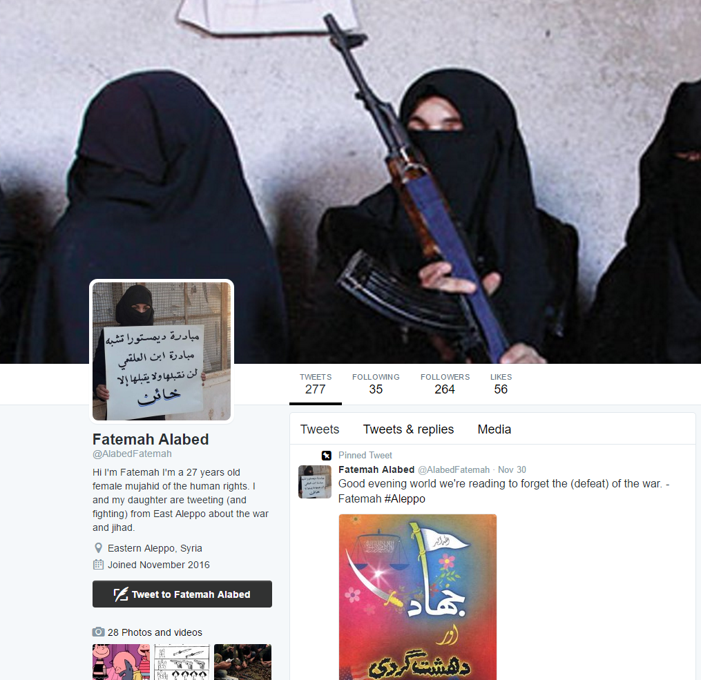 Image 13: Fake Fatemah Account