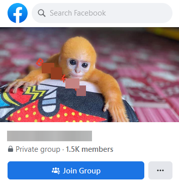 Screenshot of the banner image of BK’s exotic wildlife group and its followers, totaling 1,500 members.